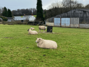 Dean Farm Trust appeals for urgent winter support 