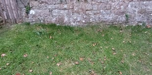 Damage to historic site after nighthawkers strike at Lancaut