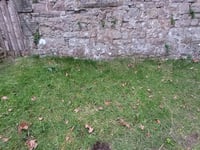 Damage to historic site after nighthawkers strike at Lancaut