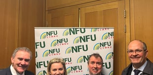 Young NFU Cymru members lobby MPs on inheritance tax changes