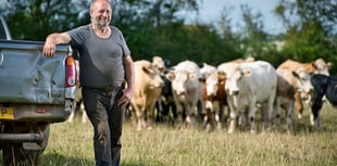 Organic meets Regenerative farming at Square Farm