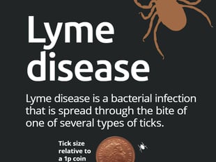 Beware of ticks reminds Forestry England