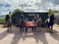 Monmouthshire horse riders face more road incidents