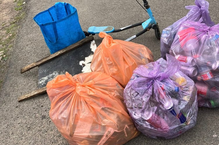 Chepstow litter pick
