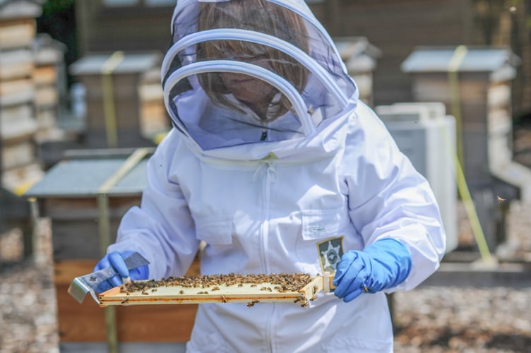 Ceri Joyner has become Gwent Beekeepers (GBK) first ever Master Beekeeper.