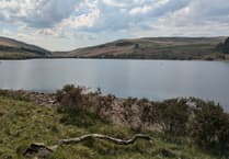 Wales warned on water use as heatwave hits