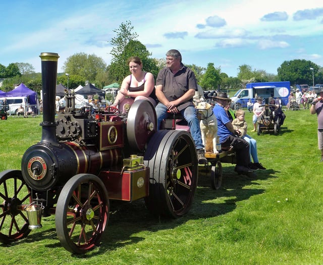 Vintage cars shine at Border County show