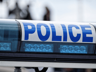 Forest police seek information after Lydney tool thefts from vans