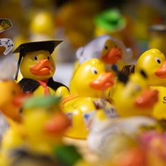 The annual Chepstow duck race returns!