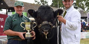 Welsh Black Cattle Society welcomes Nixon Farms as catering operator