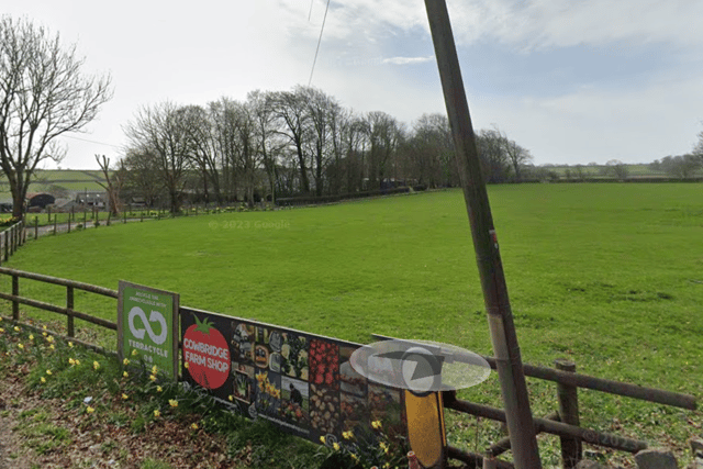 Cryptosporidium outbreak: 81 cases at Cowbridge