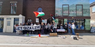 Calls for 'lead authority' to divest in companies with Israel links