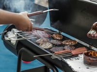 Dog owners warned: BBQ foods that could harm pets this bank holiday