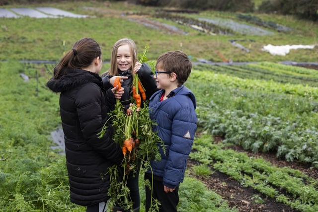 Success for Monmouthshire's Food Partnership
