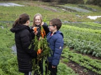 Success for Monmouthshire's Food Partnership