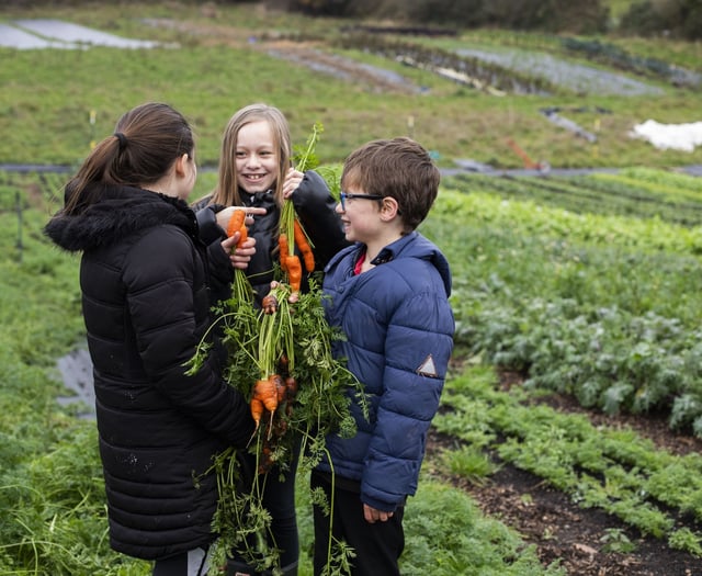Success for Monmouthshire's Food Partnership