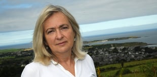 Plaid Cymru urges UK to support Wales