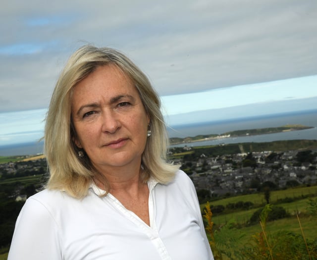 Plaid Cymru urges UK to support Wales