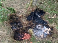 Forestry England warns Forest of Dean on wildfires