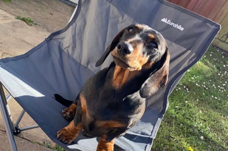 Winnie enjoying the sunshine