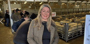 Reform MS confirms worries about 'compulsory afforestation'