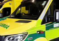Peter Fox questions Welsh health metrics