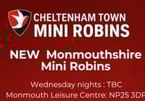 Young Foresters could see football success with Monmouthshire Mini Robins