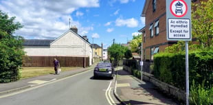 Survey shows Goldwire Lane closure opposed