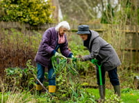 Surprising health benefits of gardening for older adults
