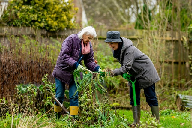 Surprising health benefits of gardening for older adults