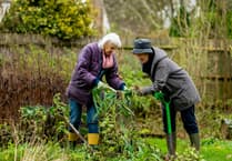 Discover six health benefits of gardening for seniors