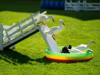 Family fun awaits at this year's Chepstow Show 