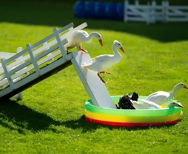 Family fun awaits at this year's Chepstow Show 