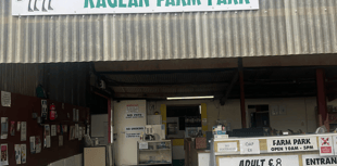 Summer Fun at Raglan Farm Park