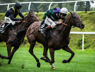 Chepstow set to host first ever Welsh racing festival