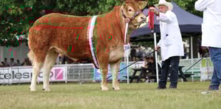 Who won big at this year's Royal Welsh Show?