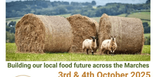 Monmouthshire's Food Future with Agroecology