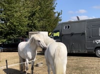 WATCH: Explore Monmouthshire Show: Activities and Cars