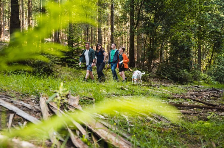 Forestry England Forest Walkies