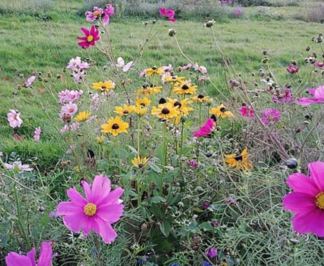 Wales Gardeners Could Boost UK Economy by £5B
