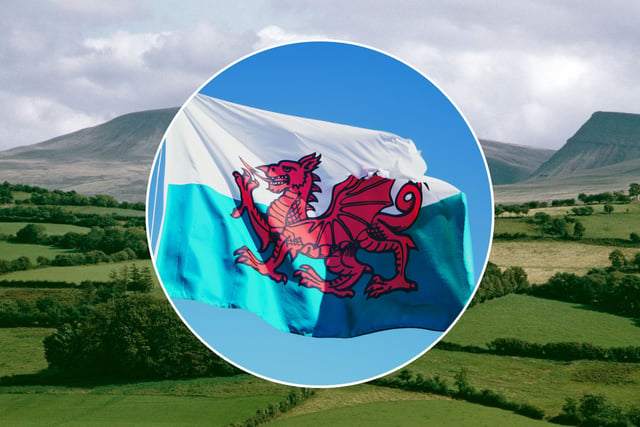 'Bore da' at the ready: Park staff urged to boost Welsh skills