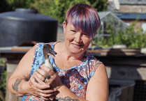 Discover holistic wellness on a Chepstow farm