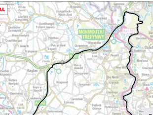 Bluetongue case in Tintern as south of county shuts down