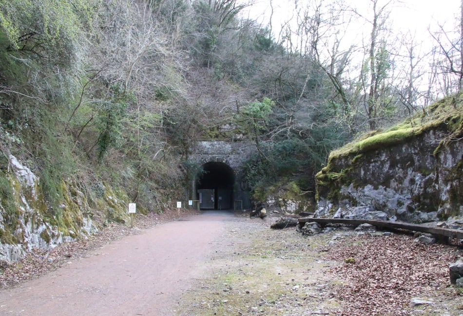 Tidenham Tunnel closes for bat hibernation