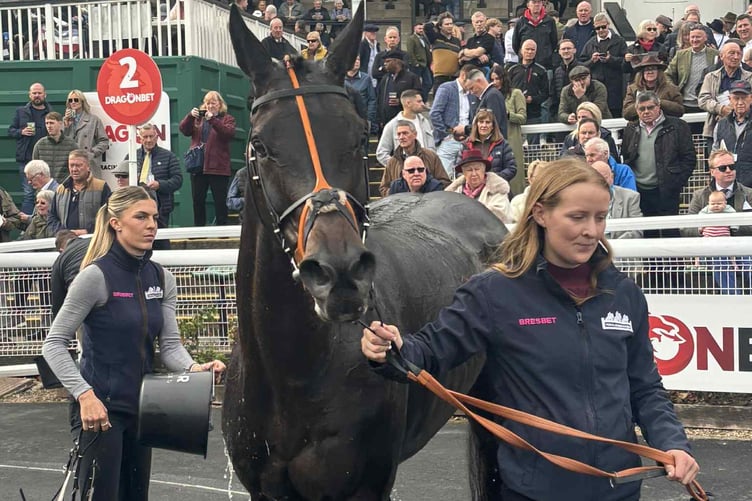 Frontier Prince celebrates in the winners’ enclosure after claiming the opener.