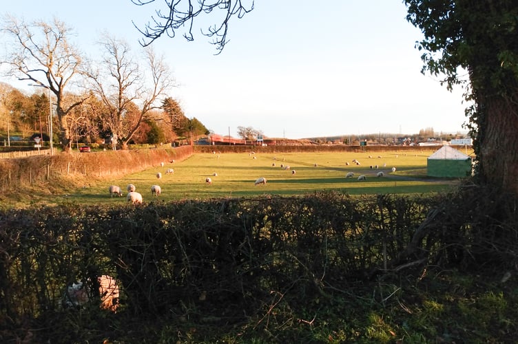 The showground fields at the David Broome Centre where new housing could be built.