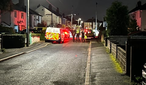 New arrests in baby death dog attack probe