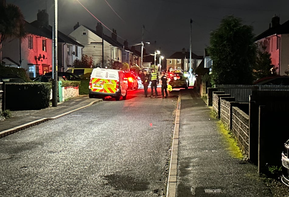 Baby who died after dog attack named at inquest