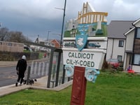 Walk out from town council meeting