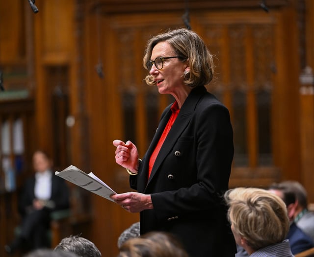 The View From Westminster With Catherine Fookes MP